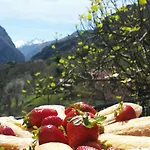 Frühstückspension Vis 101
