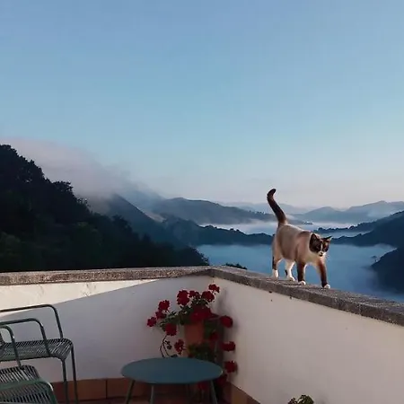 Couette-café Vis 101 Vista (Cangas de Onis)