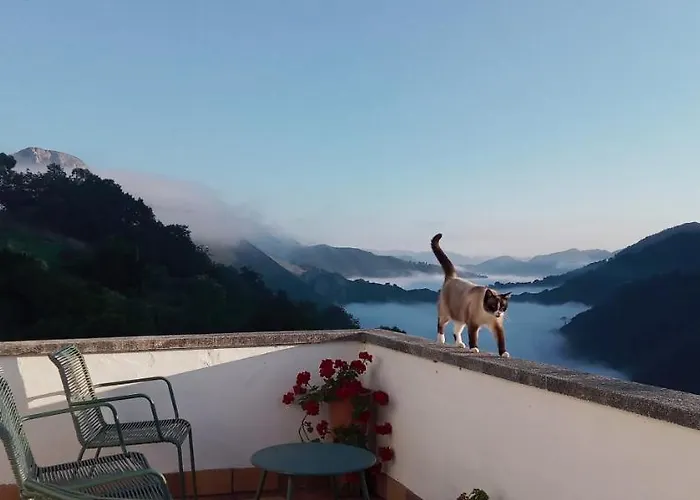 Bed & Breakfast Vis 101 Vista (Cangas de Onis)