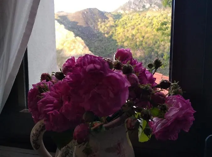 Vis 101 Bed & Breakfast Vista (Cangas de Onis)