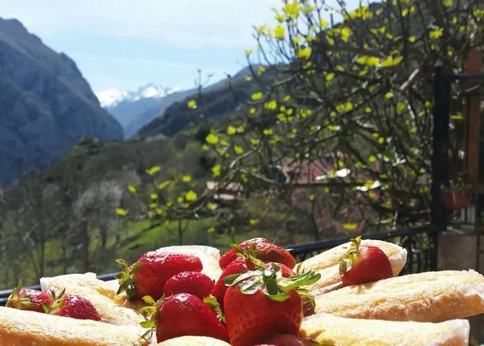 Nocleg ze śniadaniem Vis 101